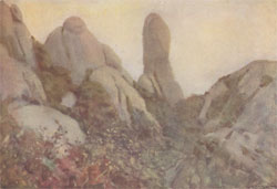 Montserrat at Dawn